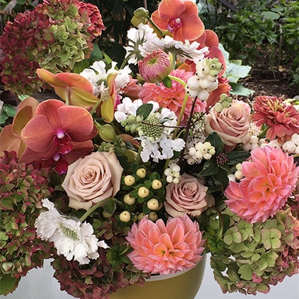 Lovely light colored coral dahlias and cafe color roses are mixed with white scabiosa, rose and green hydrangeas, a few seasonal berries with cut Phalaenopsis orchids to match, arranged in a warm chartreuse ceramic container.