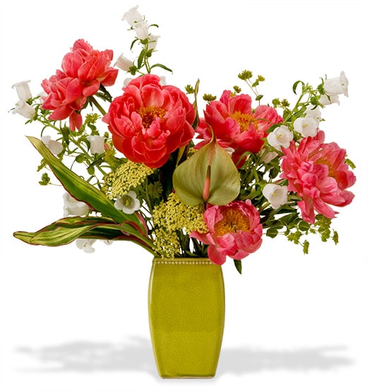 A robust flower arrangement with peonies, campanula and anthurium mixed with blooming branches and French tulips in a tall chartreuse ceramic vase