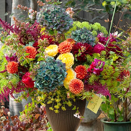 Flower arrangement with steel blue color hydrangeas, orange dahlias, yellow and deep red roses, burgundy amaranth, bursts of yellow fennel and abelia foliage in a decorative ceramic container.
