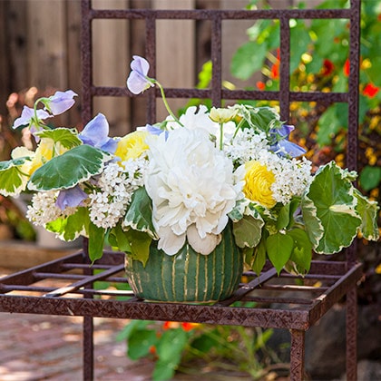 This garden setting features the flowers of May, with white lilacs, yellow ranunculus, lavender sweet peas and a little geranium foliage to grace this Spring flower arrangement.