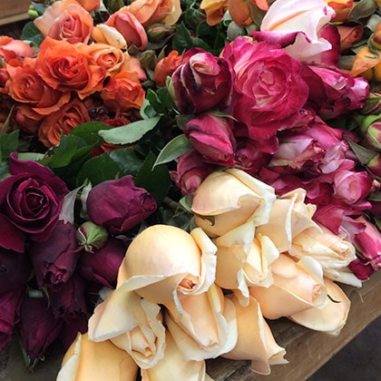 A selection of garden roses at the flower market and with so many varieties it is never an easy choice