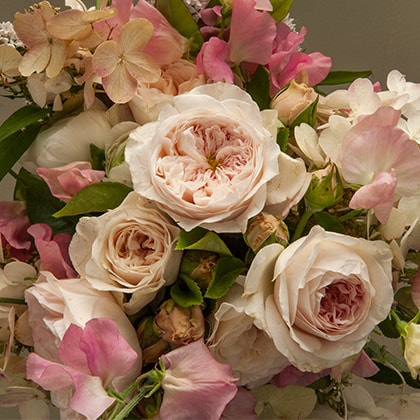 Beautiful hand tied bridal bouquet of David Austin roses in soft, warm colors mixed with sweet peas and PG hydrangea tied with a silk ribbon.