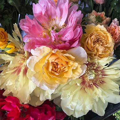 White and coral peonies are mixed with golden roses for a beautiful floral expression.