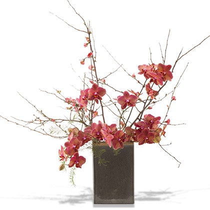Large stand flower arrangement features Quince with cut Phalaenopsis orchids in a tall ceramic container.