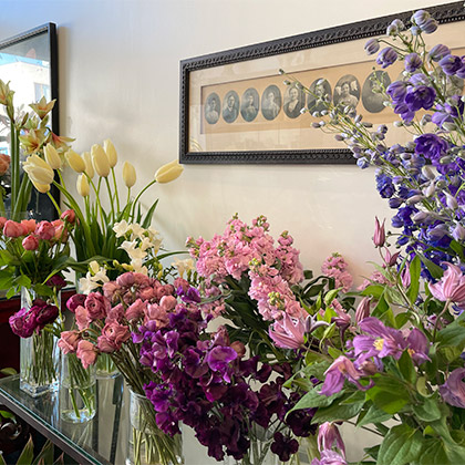 A wall of early Spring flowers including tulips, delphinium and clematis