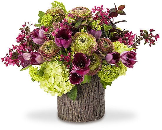 Ceramic log container with ranunculus, tulips, crabapple, hypericium foliage and green hydranges.