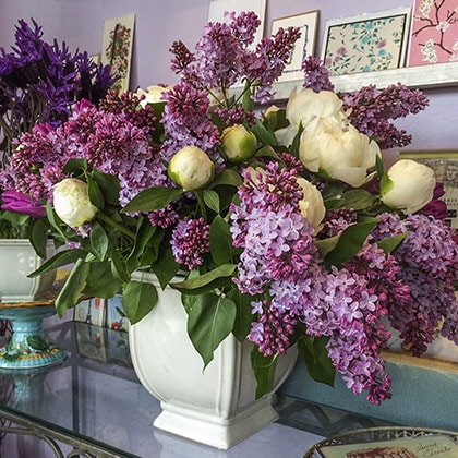 California grown lilac mixed with white peonies create a fabulous flower arrangement just in time for Spring.