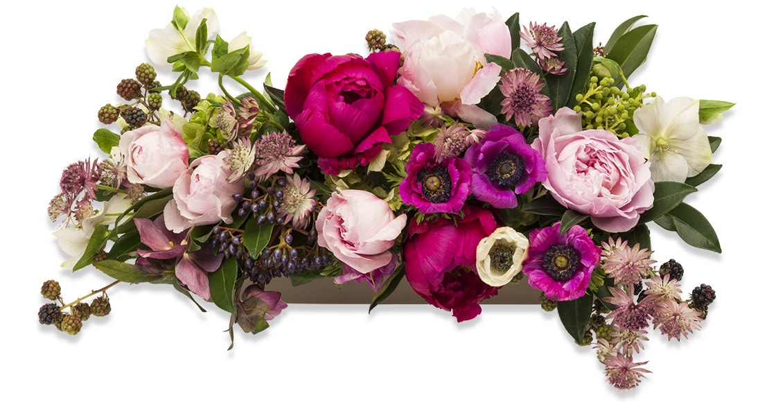 A beautiful centerpiece just right for the table with peonies, roses, hellebore, blackberries and previt in a rectangular container.