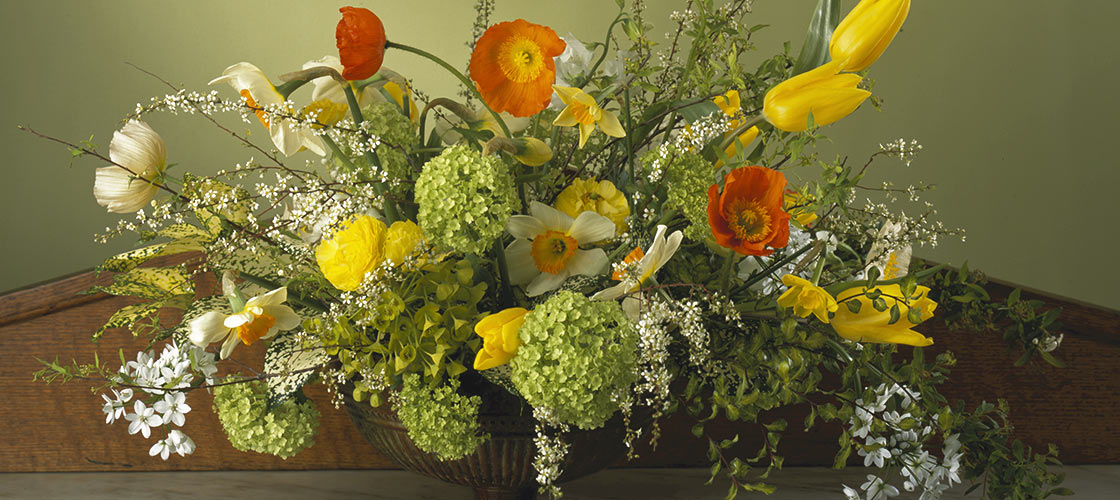 This large flower arrangement is the essence of late Winter flowers and includes a mix of white spirea and alliums, green snowball viburnum, green euphorbia, Daffodils, yellow tulips and orange Icelandic poppies.