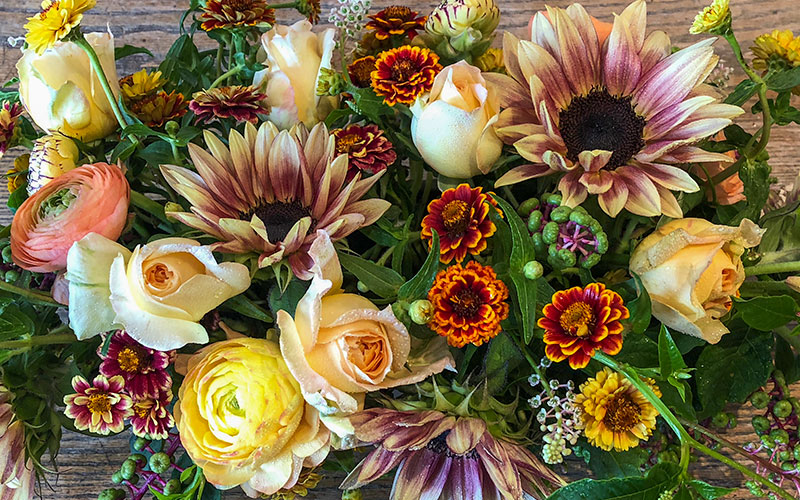 This colorful early fall centerpiece in a rectangle container features two-tone sunflowers, cute jazzy zinnias, ranunculus, roses and pokeberry.